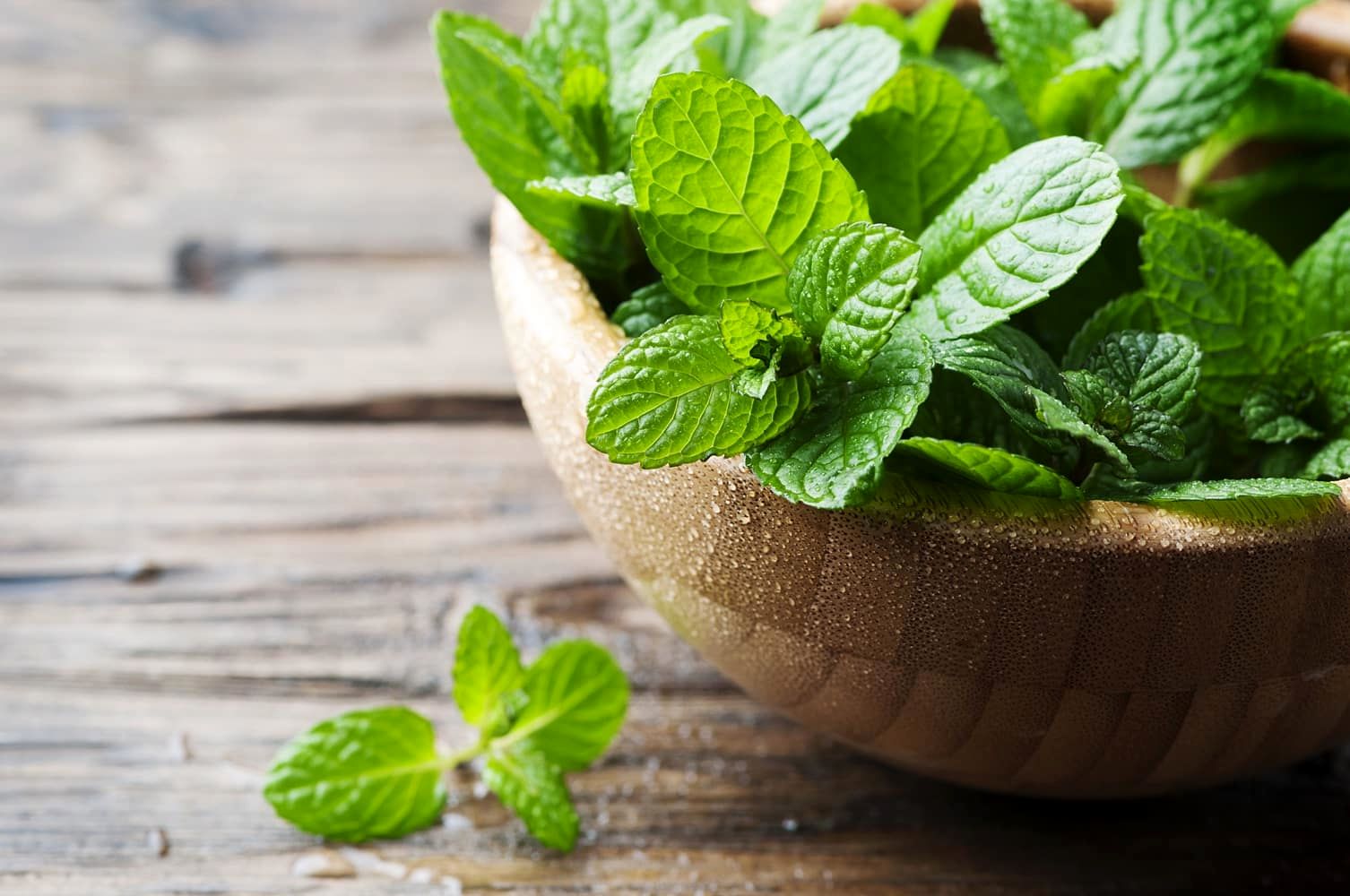 خواص دمنوش پونه و آویشن برای عفونت
